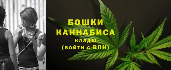гашик Костерёво