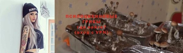 прущие крисы Краснотурьинск