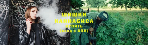 PSILOCYBIN Красноперекопск
