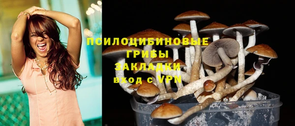 PSILOCYBIN Красноперекопск
