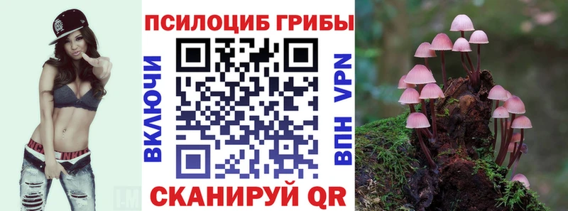 Купить где  Улан-Удэ  Псилоцибиновые грибы Psilocybine cubensis 