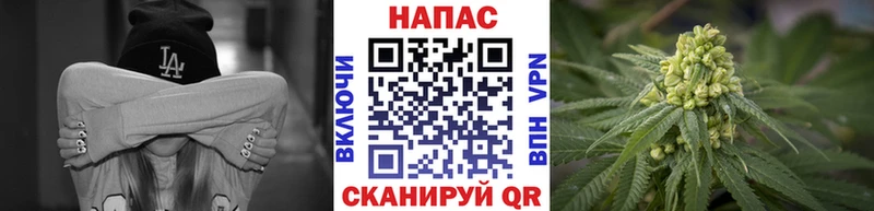 Купить закладки  Улан-Удэ  МАРИХУАНА White Widow 